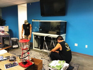 Exotica Reef Designs Installation