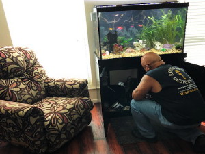 Commerical & Residential Aquarium Maintenance